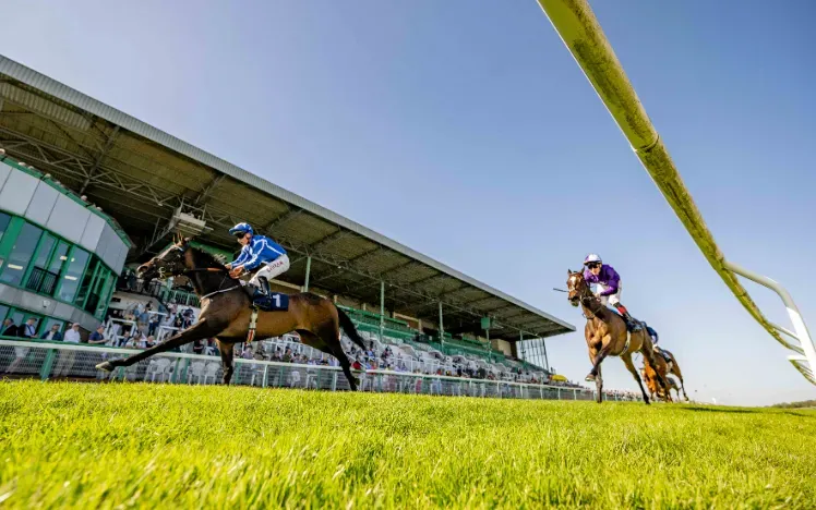 Race Meeting Cancelled Following Wildlife Damage to Track
