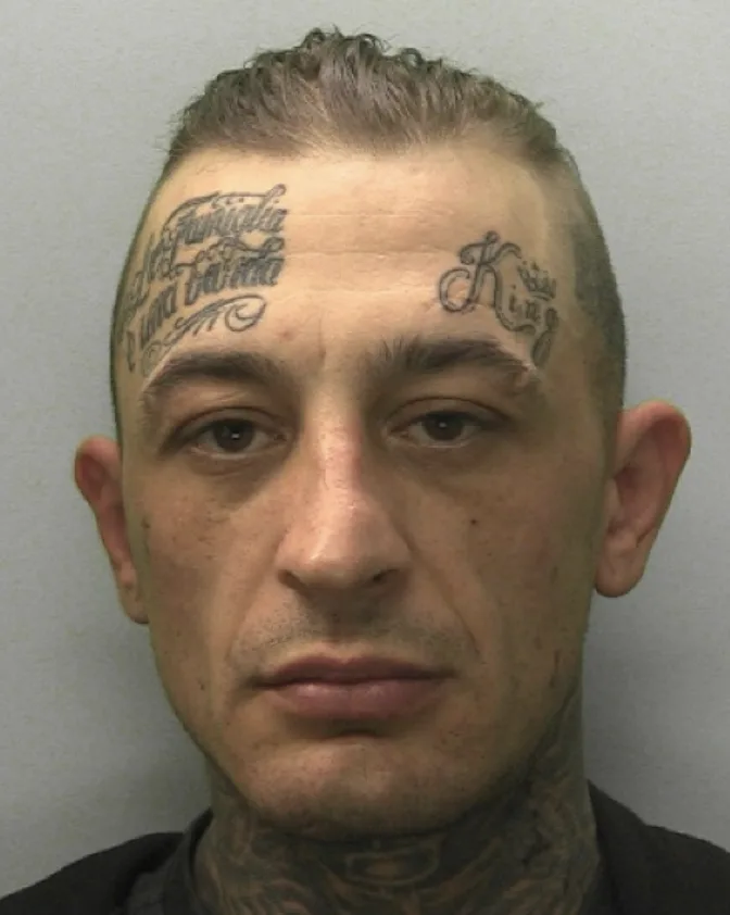 Police Appeal for Information on Jamie Field Missing Near Bodmin and St Austell