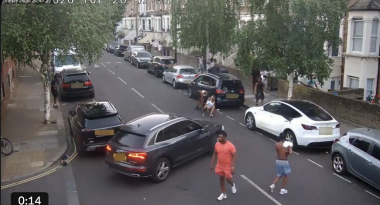 Man Fatally Stabbed in Broad Daylight as Police Seek Witnesses