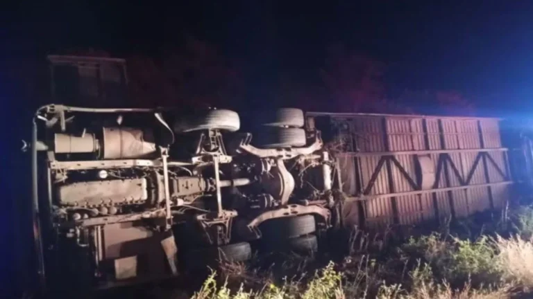 Seven Young Basketball Players Die in Bus Accident Following Tournament Victory