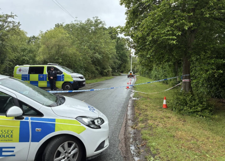 12-Year-Old Boy Dies Following Car Collision in Brentwood Murder Investigation