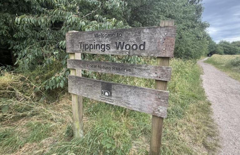 Specialist Ambulance Team Responds to Incident in Tippings Wood, Rainworth